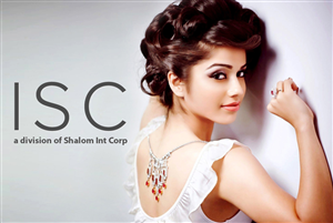 Web Design by Vikram M for Shalom International Corporation | Design: #6304628