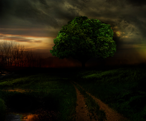 Art Design by gfxr10 for this project | Design: #1735884