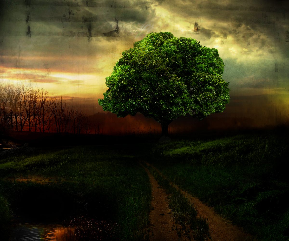 Design Art par gfxr10 pour ce projet | Design #1748435