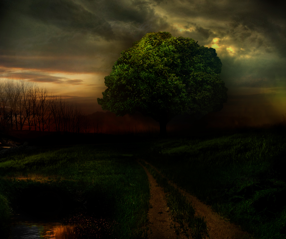 Diseño Artístico por gfxr10 para este proyecto | Diseño #1768201