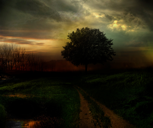 Art Design by gfxr10 for this project | Design: #1782044