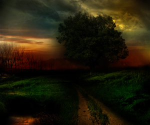 Art Design by gfxr10 for this project | Design: #1845083