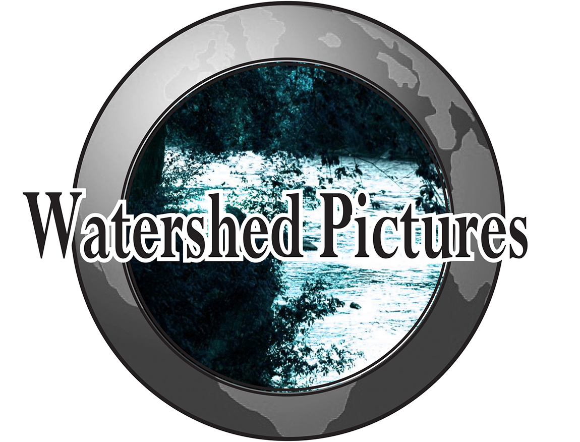 Art Design by SGraybeal for this project | Design #1703813