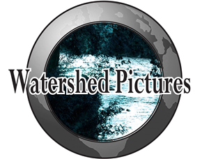 Art Design by SGraybeal for this project | Design #1703813