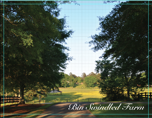 Postcard Design by mcacho for this project | Design: #6349520