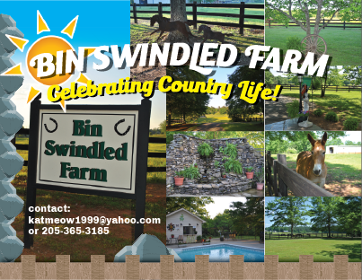 Postcard Design by Phuong Anh for this project | Design #6333334