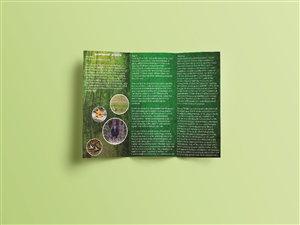 Brochure Design by Faiz Hafizuddin for this project | Design: #6350528
