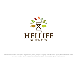 Logo-Design von Navd für HEI | Design: #6294878