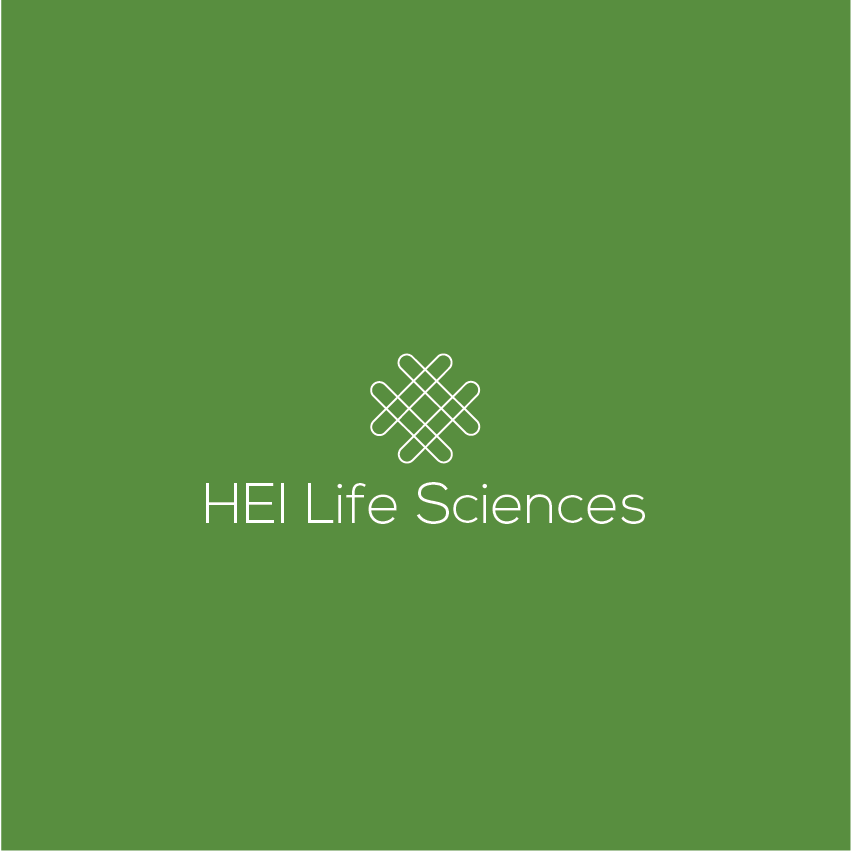 Logo Design by ArtLok for HEI | Design #6297980