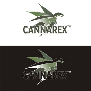 Logo Design by jos-organic