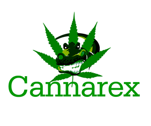 Logo Design by Zasmoker
