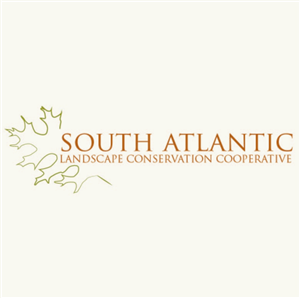 Logo Design by Design Possibilities for this project | Design: #347012