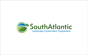 Logo Design by PlanetLab