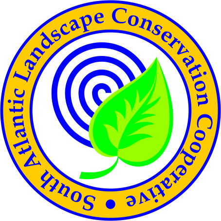 Logo Design by bionic babe for this project | Design #345197