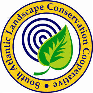 Logo Design by bionic babe for this project | Design: #345197