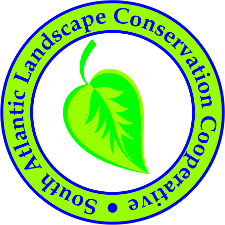 Logo Design by bionic babe for this project | Design #345203