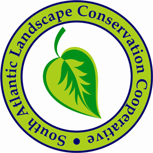 Logo Design by bionic babe for this project | Design: #345203