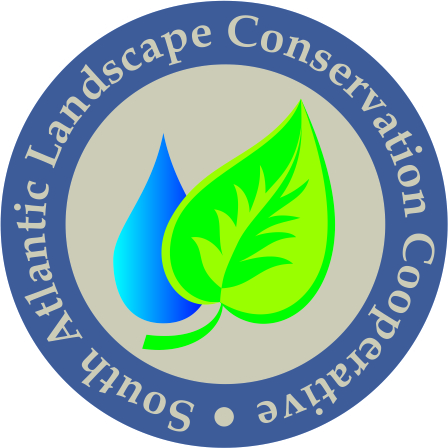 Logo Design by bionic babe for this project | Design #345208