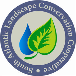 Logo Design by bionic babe for this project | Design: #345208