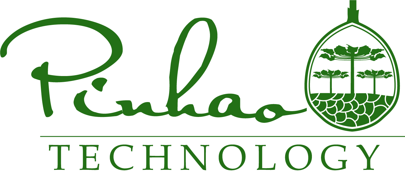 Logo Design by Rodrigo Angeli for Pinhão Tecnologia LTDA | Design #6391102