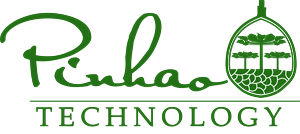 Logo Design by Rodrigo Angeli for Pinhão Tecnologia LTDA | Design: #6391102