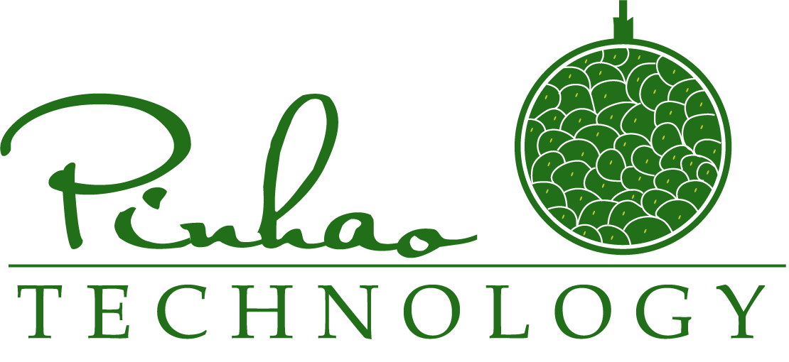 Logo Design by Rodrigo Angeli for Pinhão Tecnologia LTDA | Design #6391686