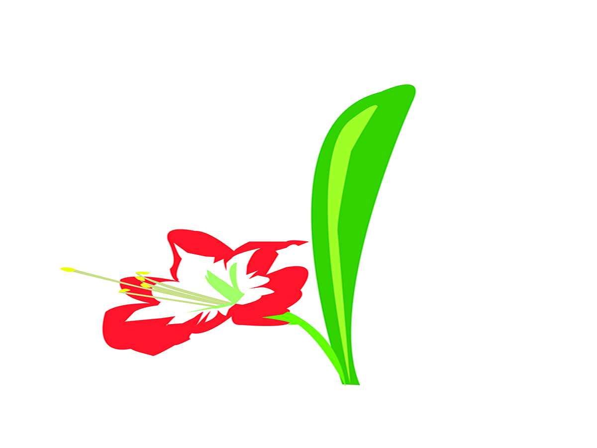 Logo Design by sadikDipu013 for this project | Design #6307743