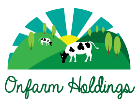 Logo Design by mettiwebmaster conception