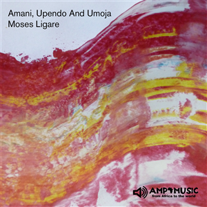 CD Cover Design by Saar for this project | Design #6412022