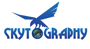 Logo Design by Designing Fever