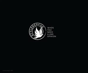 Logo Design by GreenLamp for Barbra Horowitz | Design: #6317076