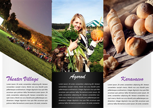 Broschüren-Design von BC Arts für dieses Projekt | Design: #6380370