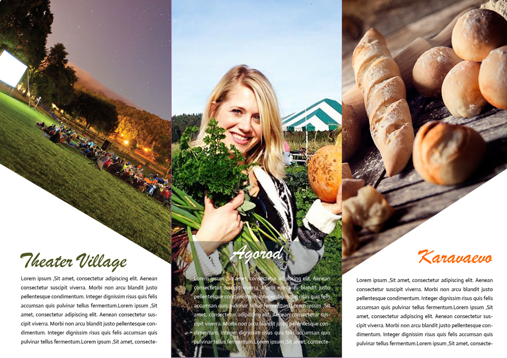 Brochure Design by BC Arts for this project | Design #6380750