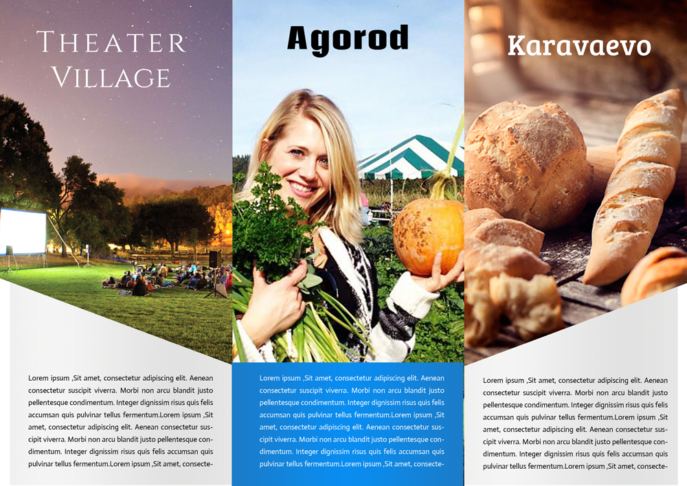 Brochure Design by BC Arts for this project | Design #6401262