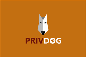 Logo Design by Silverfox Studio