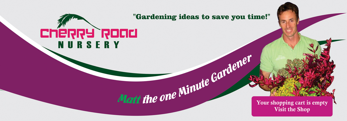 Logo-Design von Nimeshka  für Cherry Road Nursery | Design #1721850