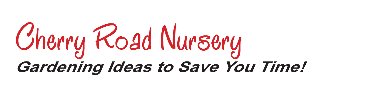 Logo Design by Chris Vail for Cherry Road Nursery | Design #1749804
