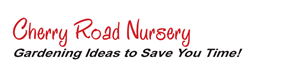 Logo Design by Chris Vail