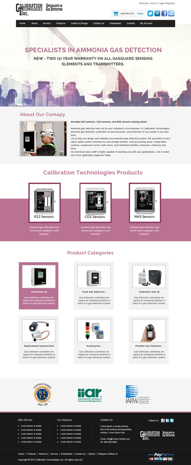 Web Design by webxvision for Internet Designs | Design #6367070