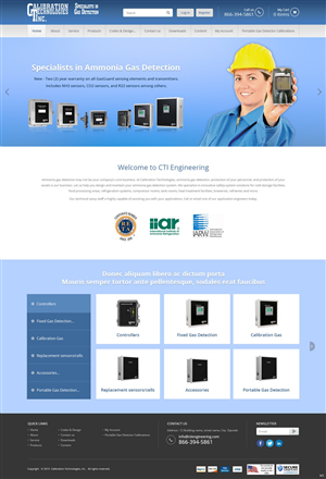 Diseño Web por pb para Internet Designs | Diseño: #6338107