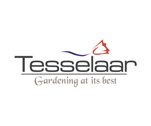 Logo Design by Al Galib