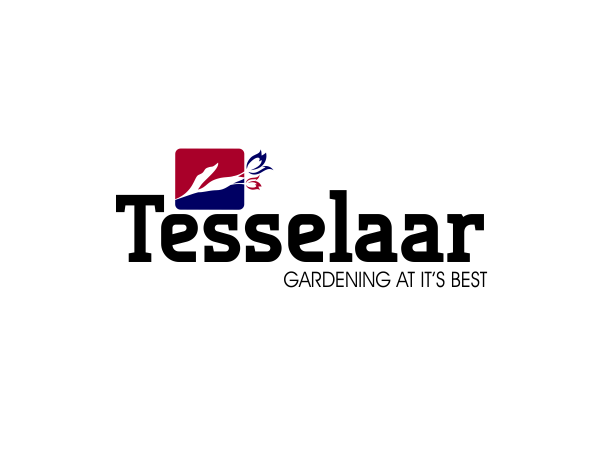 Logo Design by SE7EN for Tesselaar Direct Pty Ltd | Design #1712146