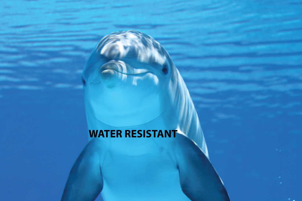 Design Graphique par OnlineDesign pour ce projet | Design #6375831