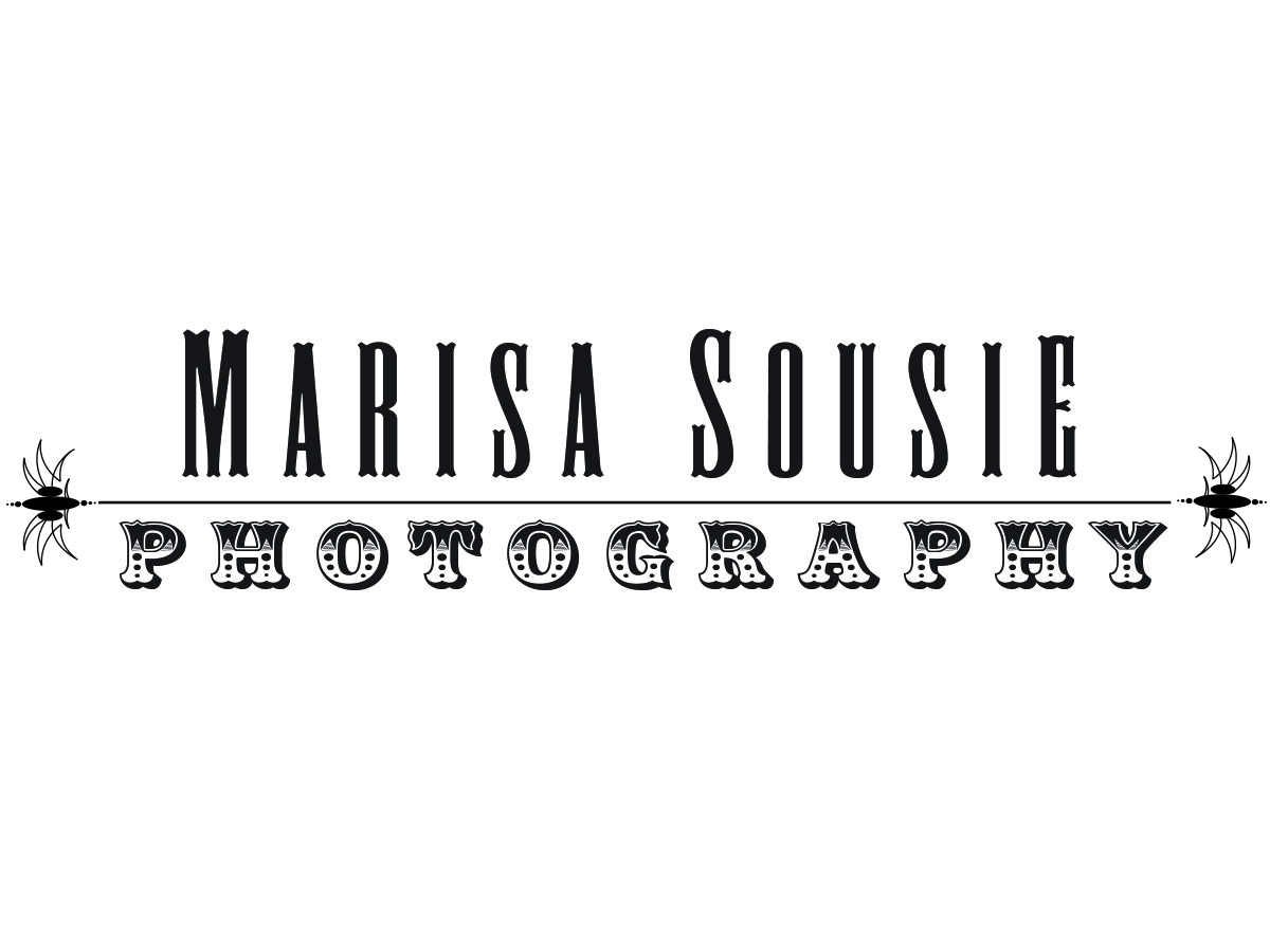 Logo Design by adamjohnmulcahy for this project | Design #6340504