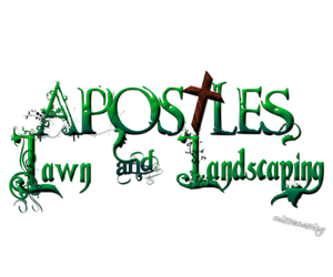 Graphic Design by missamazing