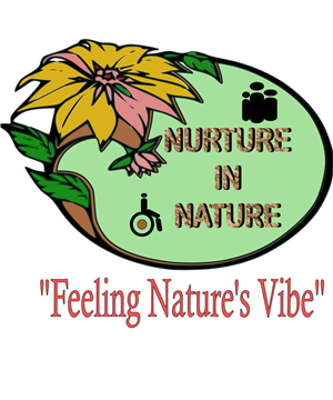Logo Design by Cupid for Nurture In Nature | Design: #6514661