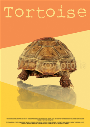 Poster Design by dragan74