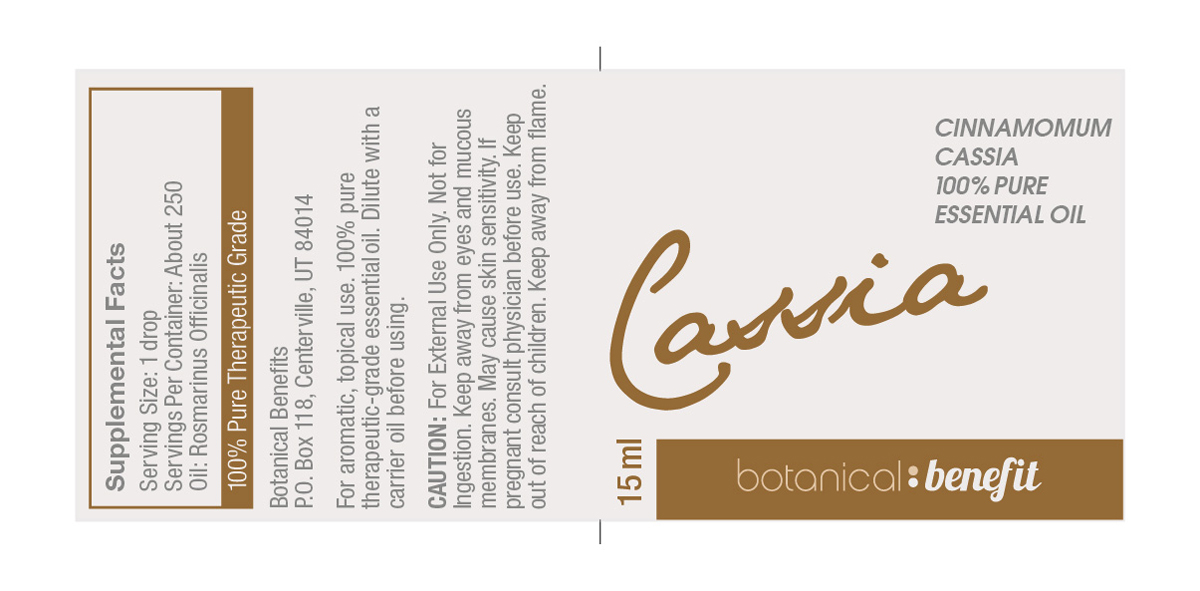 Design Graphique par Design Brigade pour The Chocolate Workshop | Design #1726199