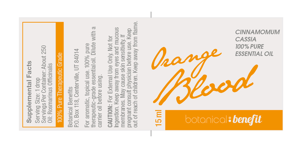 Diseño Gráfico por Design Brigade para The Chocolate Workshop | Diseño #1726201