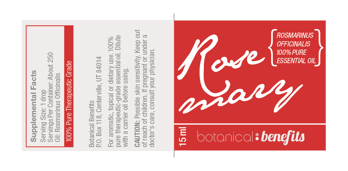 Design Graphique par Design Brigade pour The Chocolate Workshop | Design #1736106